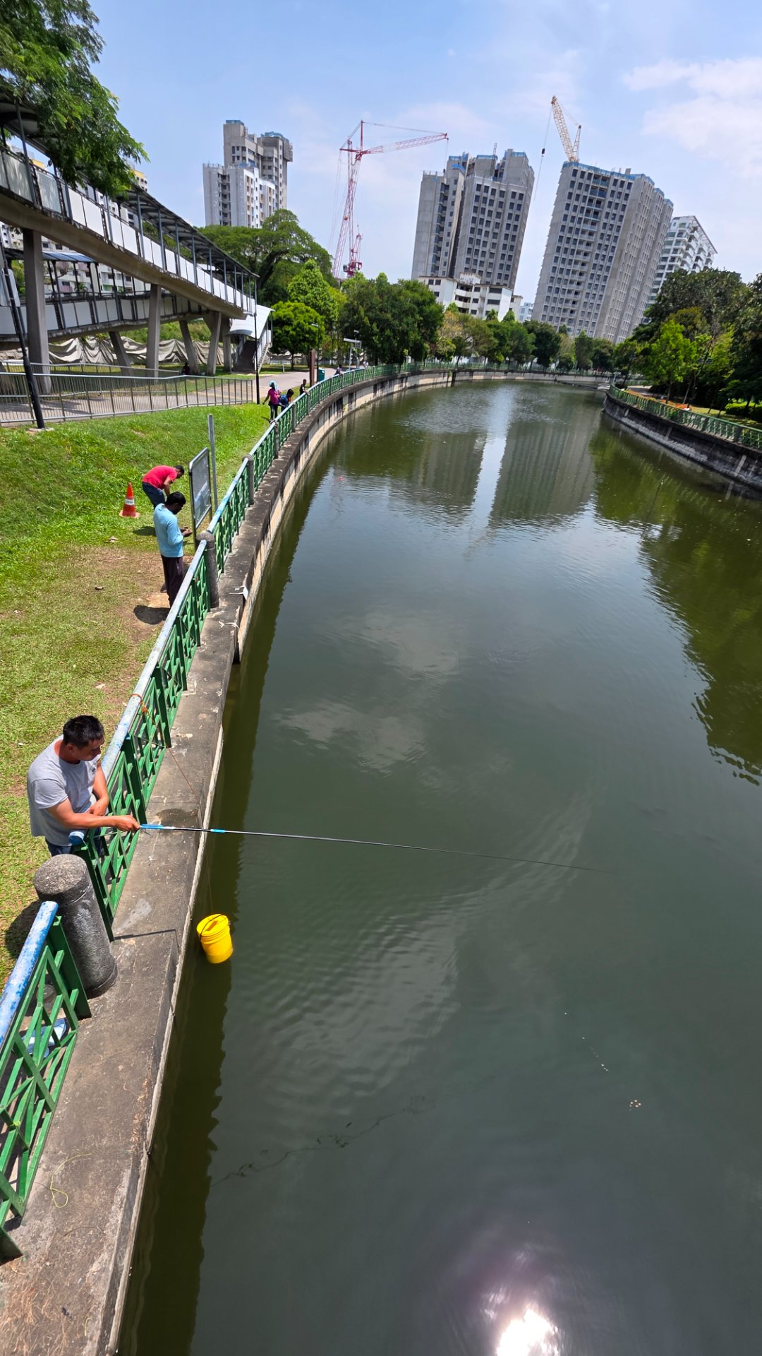 Urban Fishing: A Tranquil Escape in the City